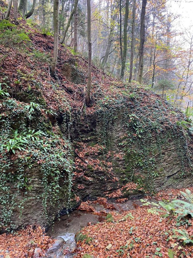 Sankt Johann im Saggautal Gaestehaus Schmid 아파트 외부 사진