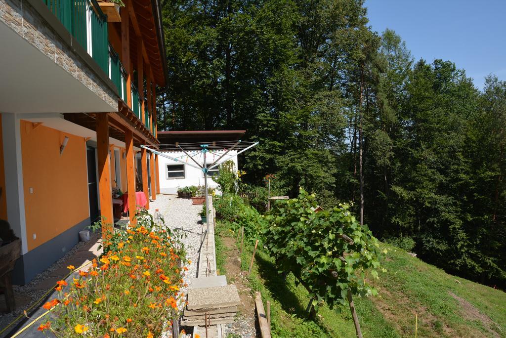 Sankt Johann im Saggautal Gaestehaus Schmid 아파트 외부 사진