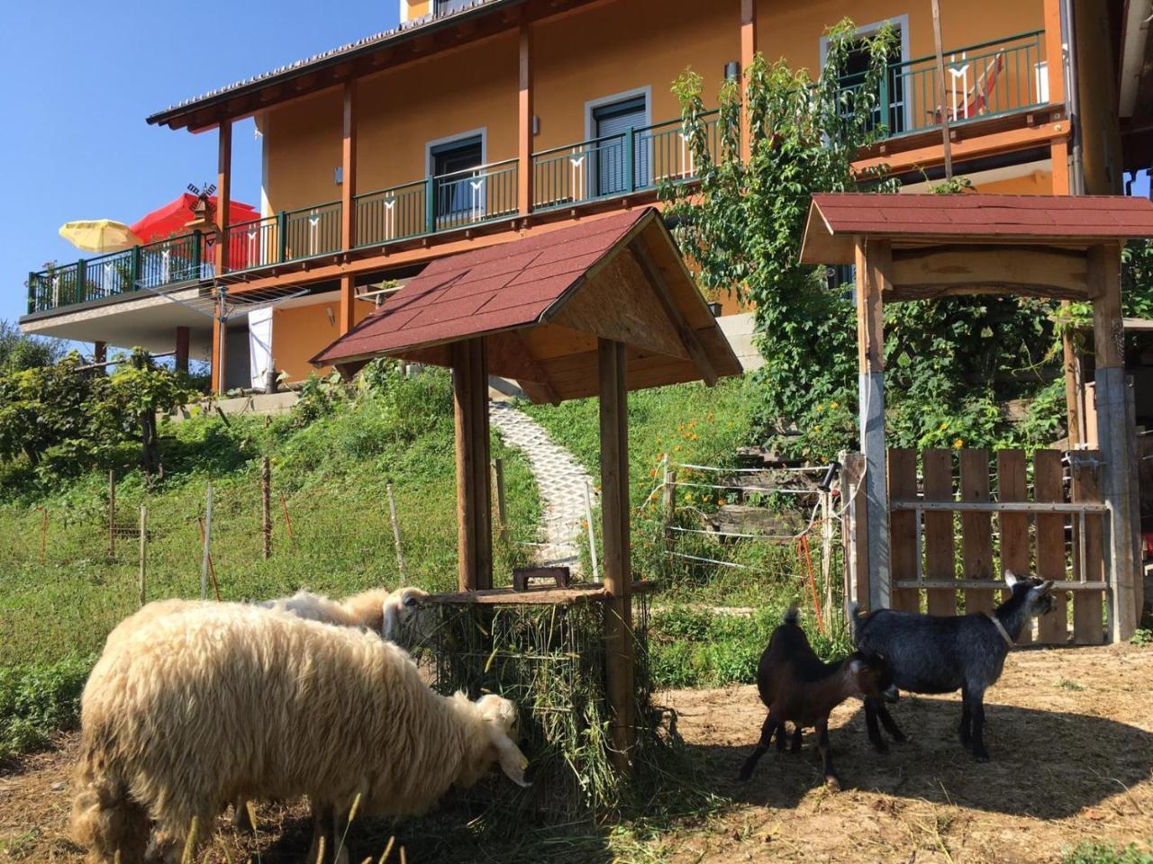 Sankt Johann im Saggautal Gaestehaus Schmid 아파트 외부 사진